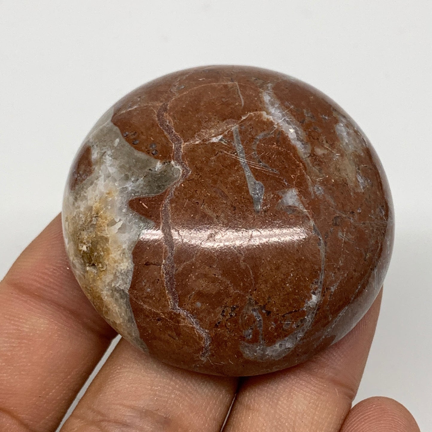 48.9g, 1.8"x0.7", Natural Untreated Red Shell Fossils Round Palms-tone, F1131