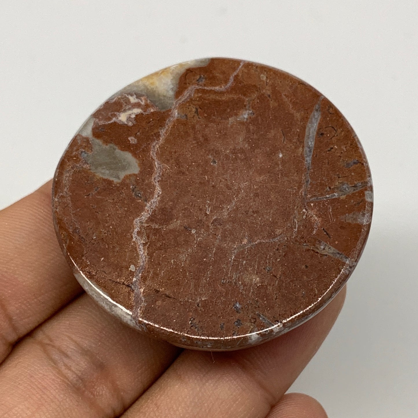 48.9g, 1.8"x0.7", Natural Untreated Red Shell Fossils Round Palms-tone, F1131