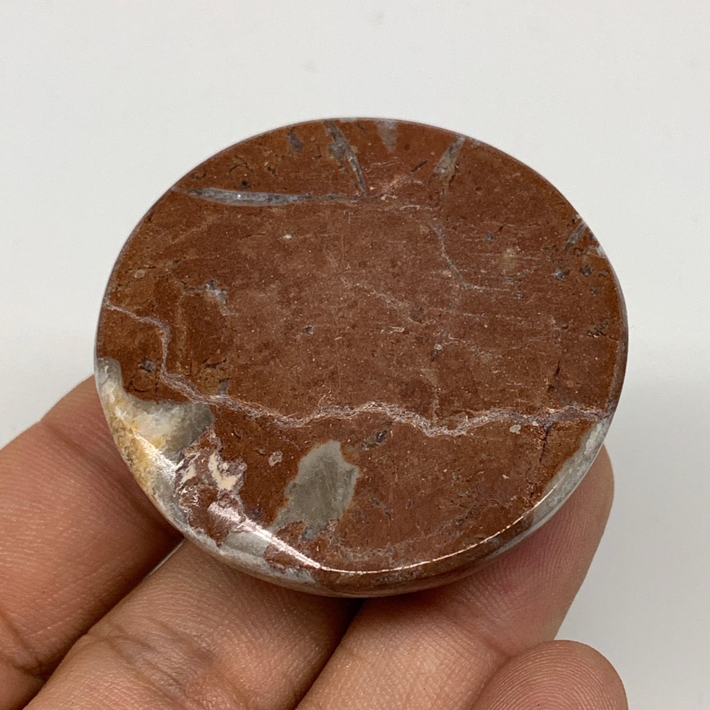 48.9g, 1.8"x0.7", Natural Untreated Red Shell Fossils Round Palms-tone, F1131