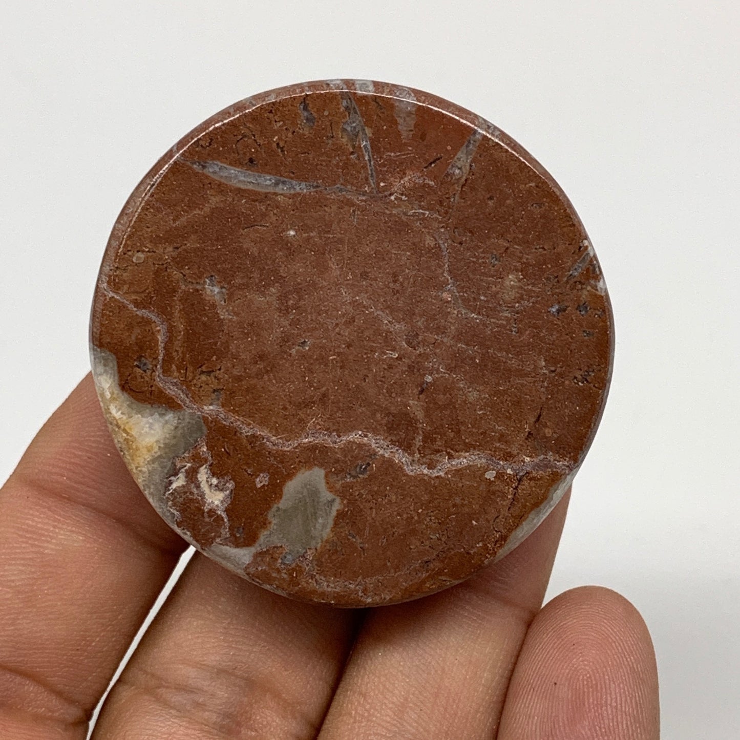48.9g, 1.8"x0.7", Natural Untreated Red Shell Fossils Round Palms-tone, F1131