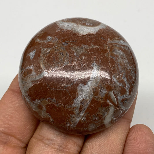 51.4g, 1.7"x0.7", Natural Untreated Red Shell Fossils Round Palms-tone, F1134