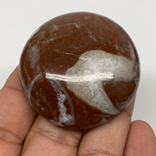 47.7g, 1.8"x0.6", Natural Untreated Red Shell Fossils Round Palms-tone, F1136