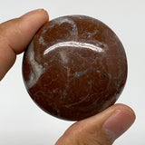53.8g, 1.8"x0.7", Natural Untreated Red Shell Fossils Round Palms-tone, F1137