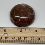 53.8g, 1.8"x0.7", Natural Untreated Red Shell Fossils Round Palms-tone, F1137