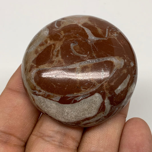 47.3g, 1.8"x0.6", Natural Untreated Red Shell Fossils Round Palms-tone, F1138