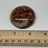 47.3g, 1.8"x0.6", Natural Untreated Red Shell Fossils Round Palms-tone, F1138
