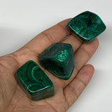 163.2g, 1.2"-1.5",3pcs, Natural Small Malachite Tumbled Polished Gemstone, B7456