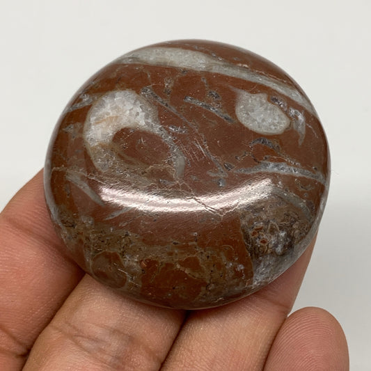 43.7g, 1.8"x0.6", Natural Untreated Red Shell Fossils Round Palms-tone, F1140