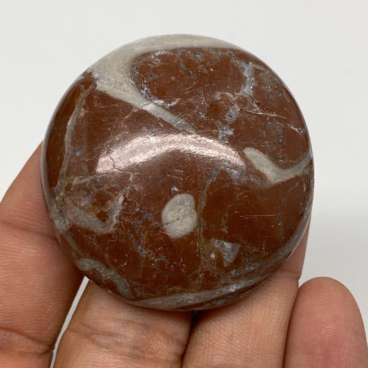 41.6g, 1.7"x0.6", Natural Untreated Red Shell Fossils Round Palms-tone, F1141