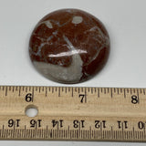 41.6g, 1.7"x0.6", Natural Untreated Red Shell Fossils Round Palms-tone, F1141