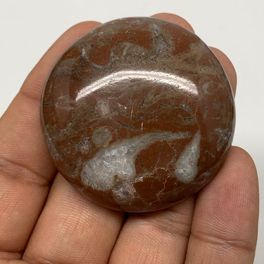 41.7g, 1.8"x0.5", Natural Untreated Red Shell Fossils Round Palms-tone, F1143