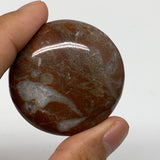 41.7g, 1.8"x0.5", Natural Untreated Red Shell Fossils Round Palms-tone, F1143