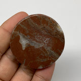 41.7g, 1.8"x0.5", Natural Untreated Red Shell Fossils Round Palms-tone, F1143