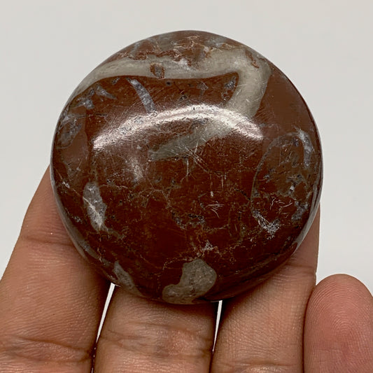 43.4g, 1.8"x0.6", Natural Untreated Red Shell Fossils Round Palms-tone, F1145