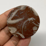 43.4g, 1.8"x0.6", Natural Untreated Red Shell Fossils Round Palms-tone, F1145