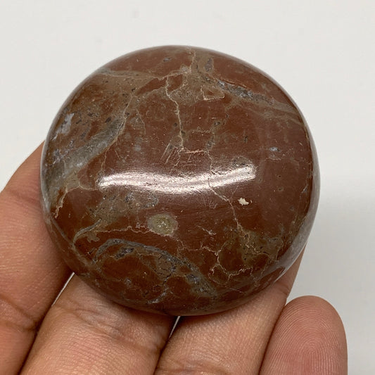52.3g, 1.8"x0.7", Natural Untreated Red Shell Fossils Round Palms-tone, F1147