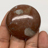 45.4g, 1.7"x0.6", Natural Untreated Red Shell Fossils Round Palms-tone, F1148