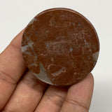 45.4g, 1.7"x0.6", Natural Untreated Red Shell Fossils Round Palms-tone, F1148
