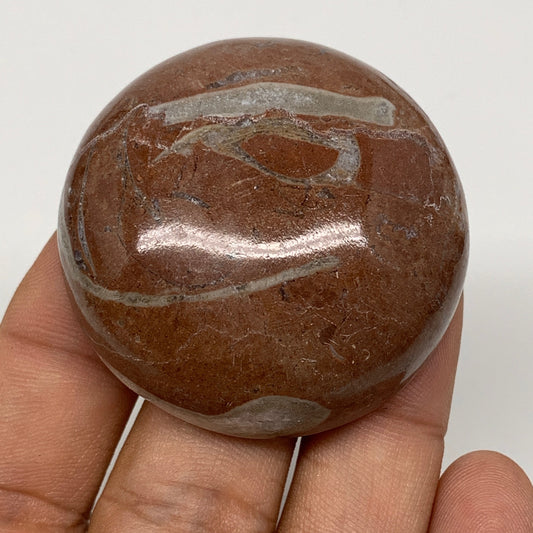 47.7g, 1.7"x0.6", Natural Untreated Red Shell Fossils Round Palms-tone, F1153