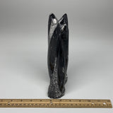 1368g, 8.3"x3"x2.1" Black Fossils Orthoceras Sculpture Tower @Morocco,B8587