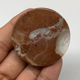 47.7g, 1.7"x0.6", Natural Untreated Red Shell Fossils Round Palms-tone, F1153