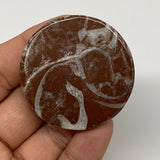 42.8g, 1.8"x0.6", Natural Untreated Red Shell Fossils Round Palms-tone, F1154