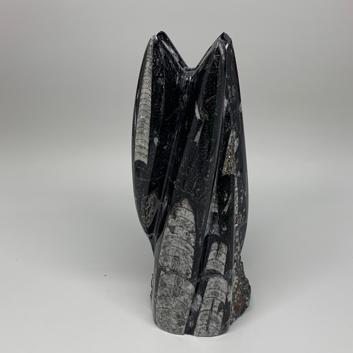 1542g, 7.75"x3.1"x3" Black Fossils Orthoceras Sculpture Tower @Morocco,B8589