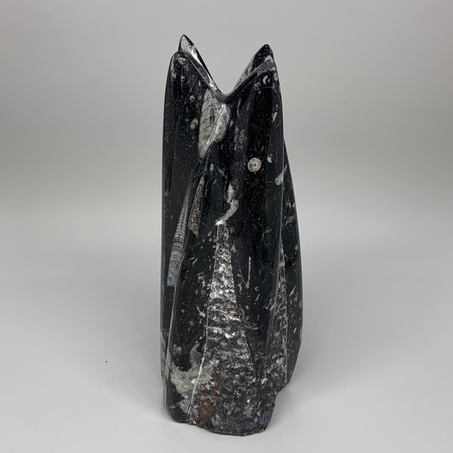 1542g, 7.75"x3.1"x3" Black Fossils Orthoceras Sculpture Tower @Morocco,B8589