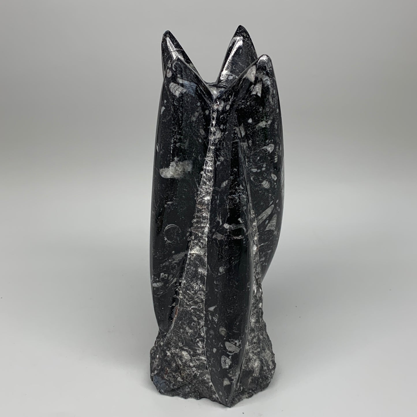 1542g, 7.75"x3.1"x3" Black Fossils Orthoceras Sculpture Tower @Morocco,B8589