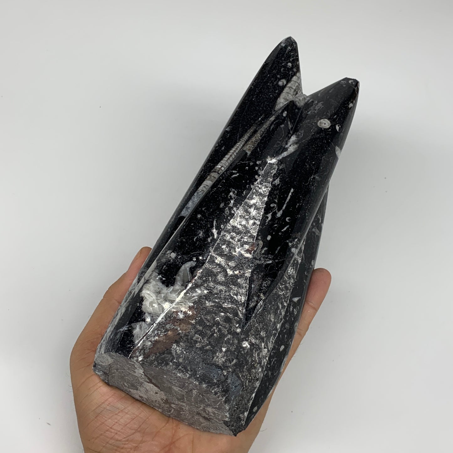1542g, 7.75"x3.1"x3" Black Fossils Orthoceras Sculpture Tower @Morocco,B8589