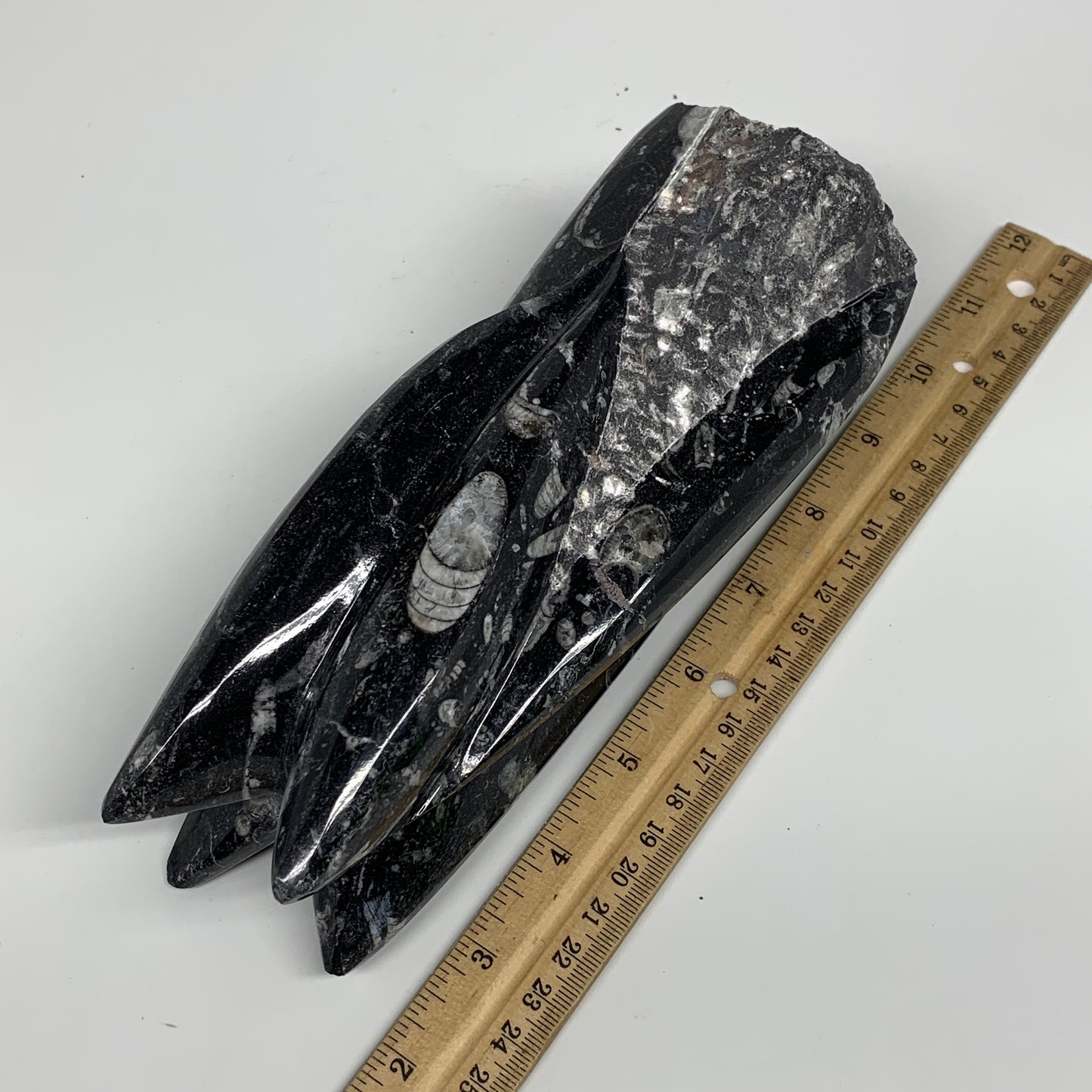 1542g, 7.75"x3.1"x3" Black Fossils Orthoceras Sculpture Tower @Morocco,B8589