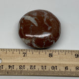 50g, 1.7"x0.7", Natural Untreated Red Shell Fossils Round Palms-tone, F1155