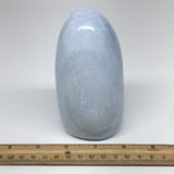 950g,4.9"x3"x2.5" Blue Calcite Polished Freeform Stands @Madagascar,MSP1005